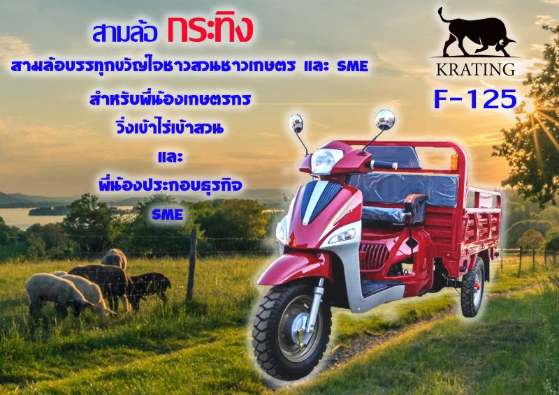 พนักงานขายและบริการหลังขาย(ชาย)