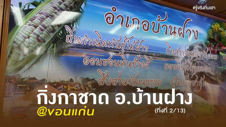 กิ่งกาชาดอำเภอบ้านฝาง @ขอนแก่น (กิ่งที่ 2/13)