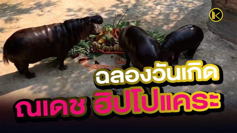ฉลองวันเกิดให้ "ณเดช ฮิปโปแคระ"