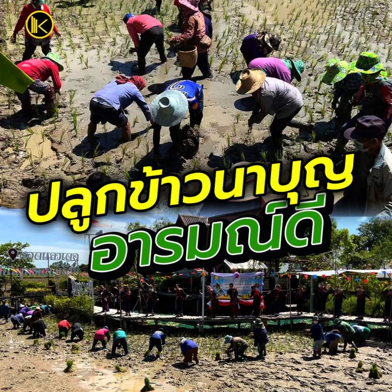 KKL_NEWS_202kaw2