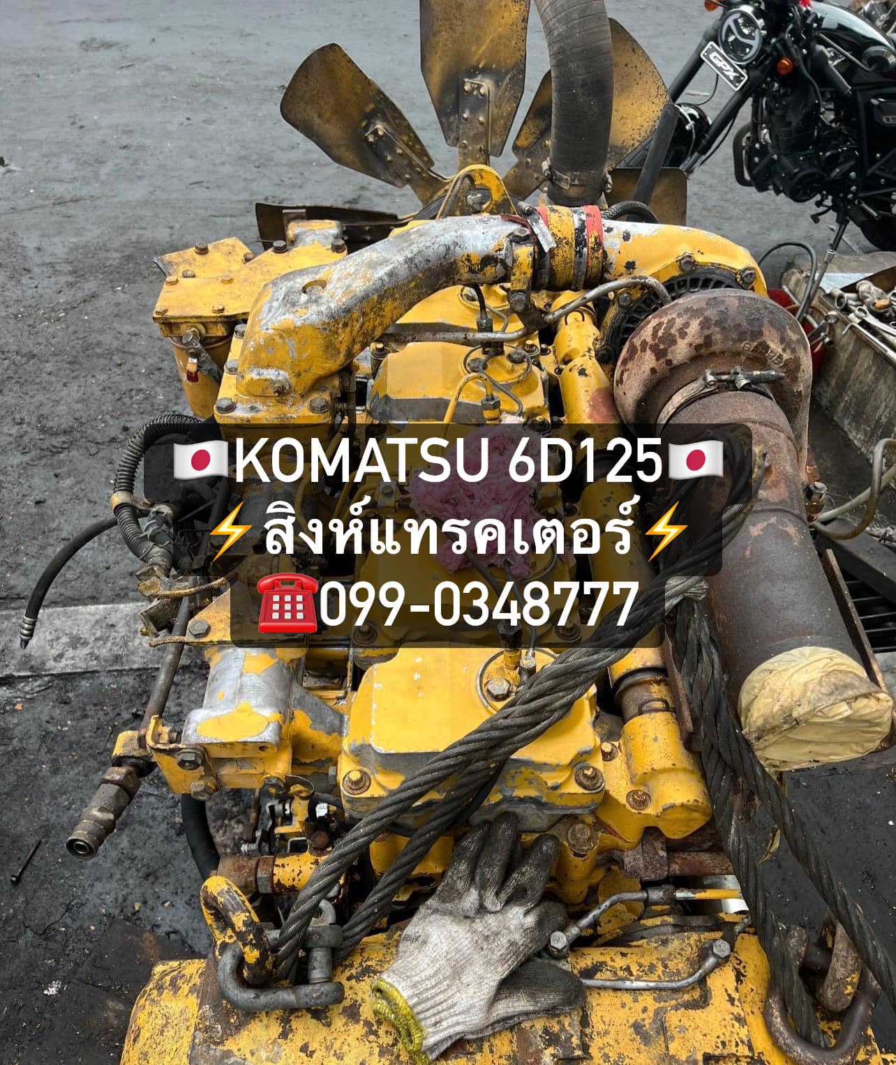 My Image 16