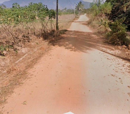 My Image 62