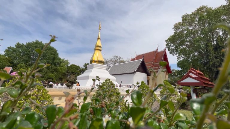 6D1CF0A4-B8D8-4670-9E4C-3ADC77EFA811