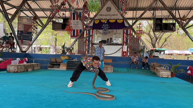 D8673994-6124-46C5-B36C-333B55DBE6C4