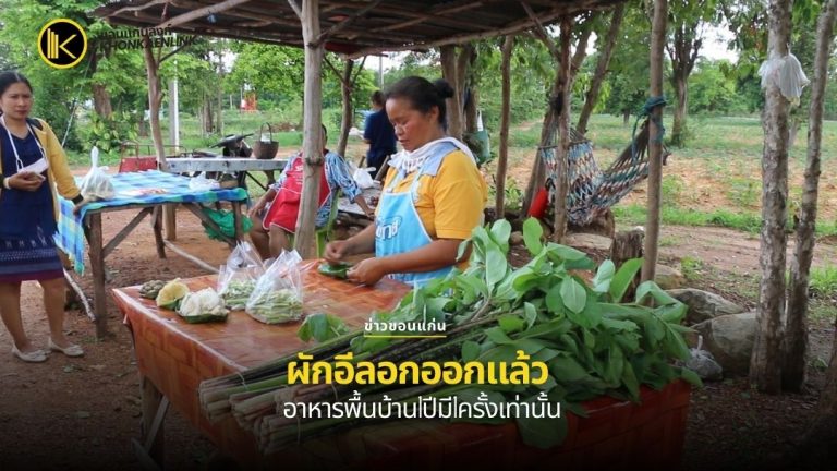 ขอนแก่น ผักอีลอกออกแล้ว อาหารพื้นบ้าน1ปีมี1ครั้งเท่านั้น