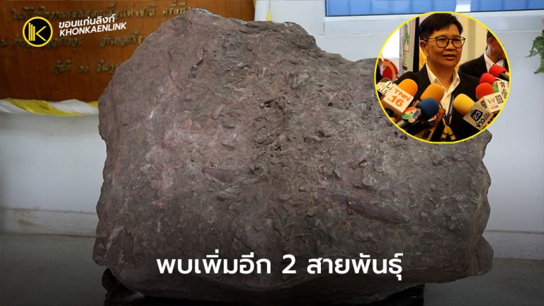 "น้ำพอง" พบซากฟอสซิลไดโนเสาร์เพิ่มอีก2สายพันธุ์ รวมเป็น3สายพันธุ์ (พันธุ์กินพืช กินเนื้อ และสัตว์น้ำ)