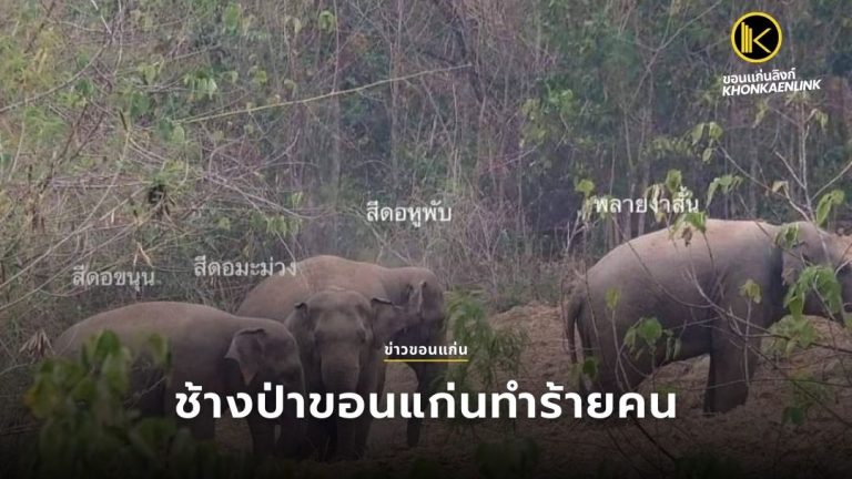 ข่าวขอนแก่น Web Cover