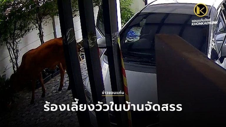 ข่าวขอนแก่น Web Cover