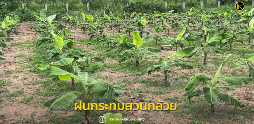 Cover Web KKL (เว็บไซต์)