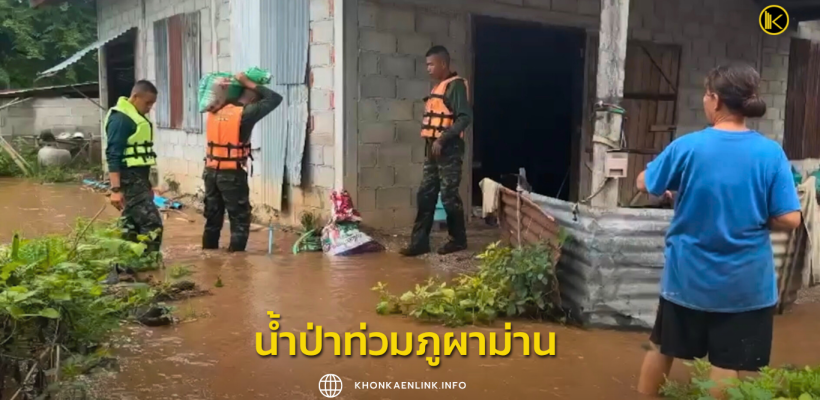Cover Web KKL (เว็บไซต์)