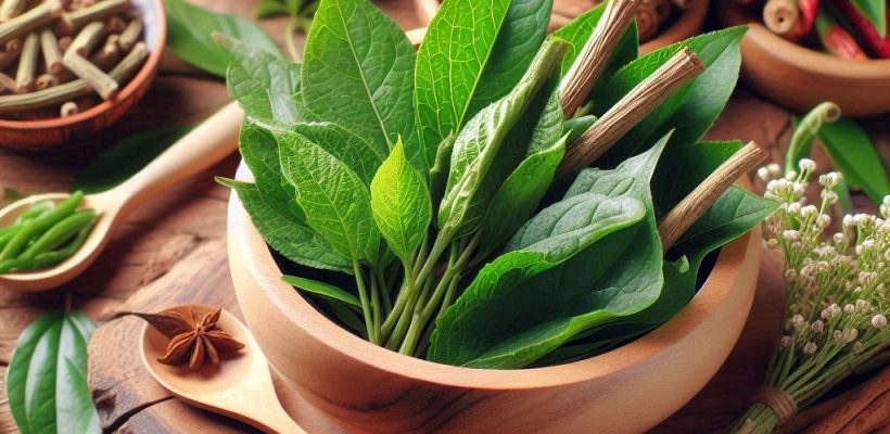 _49d8a1b3-7759-4072-987f-5abdce96cacb