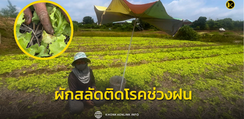 Cover Web KKL (เว็บไซต์)