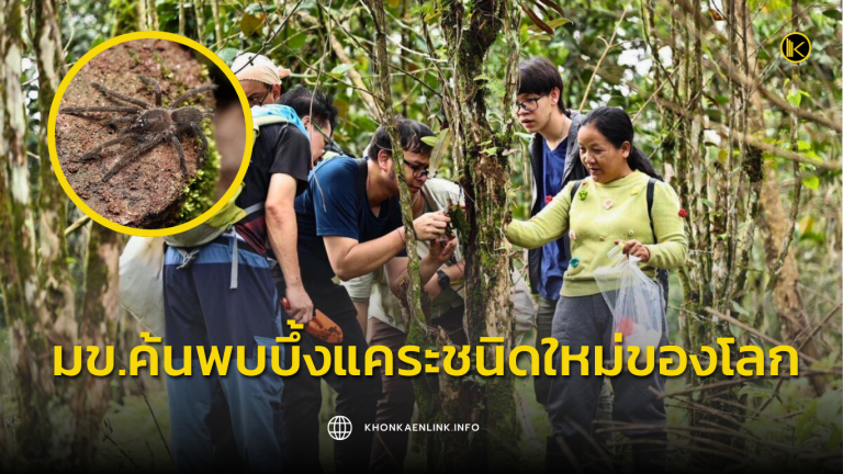 Cover Web KKL (เว็บไซต์)