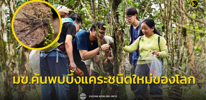 Cover Web KKL (เว็บไซต์)