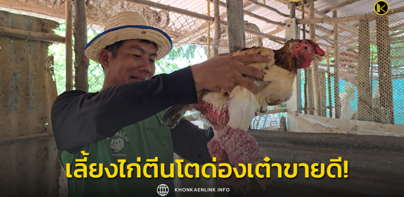 Cover Web KKL (เว็บไซต์)