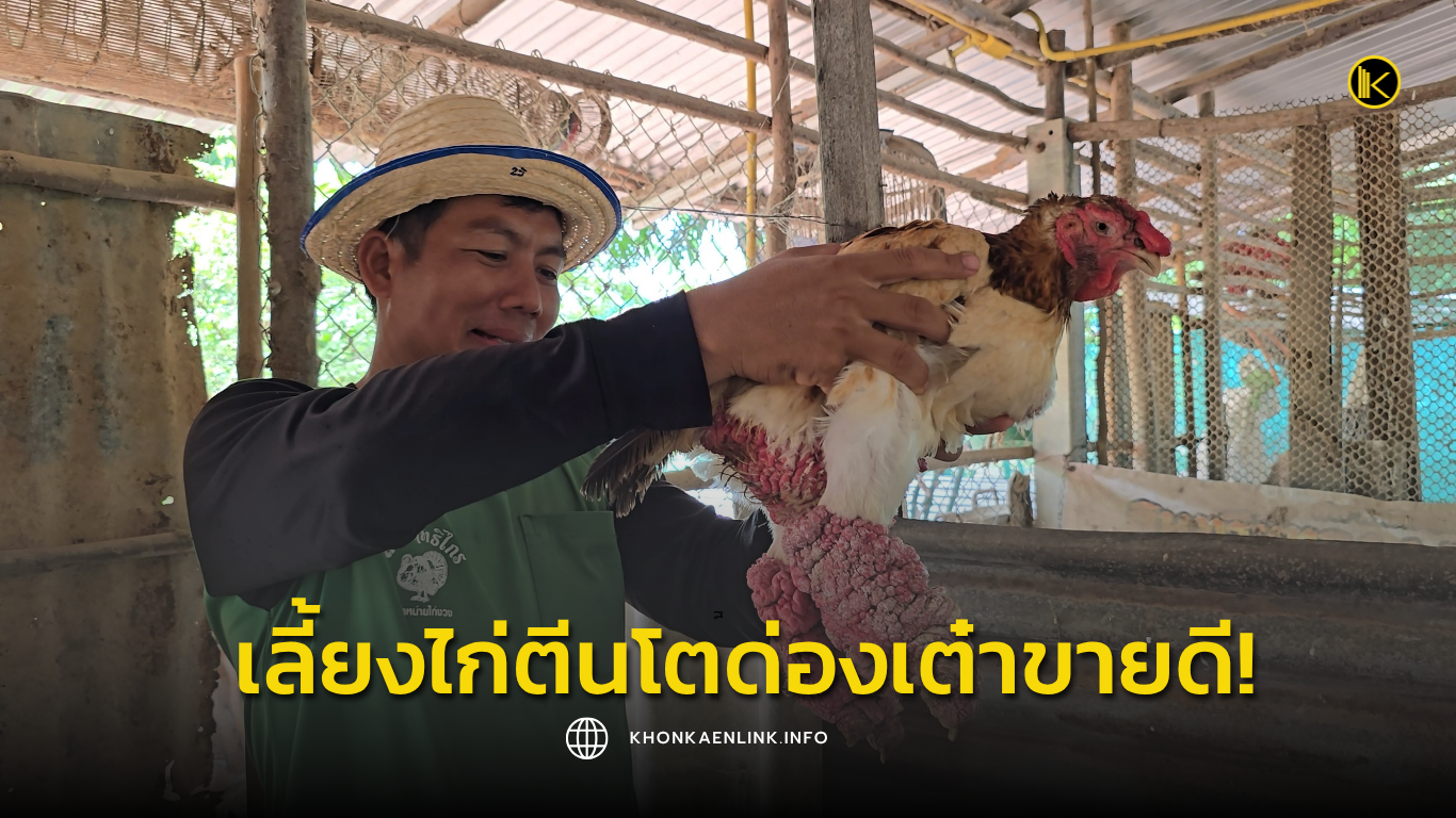Cover Web KKL (เว็บไซต์)