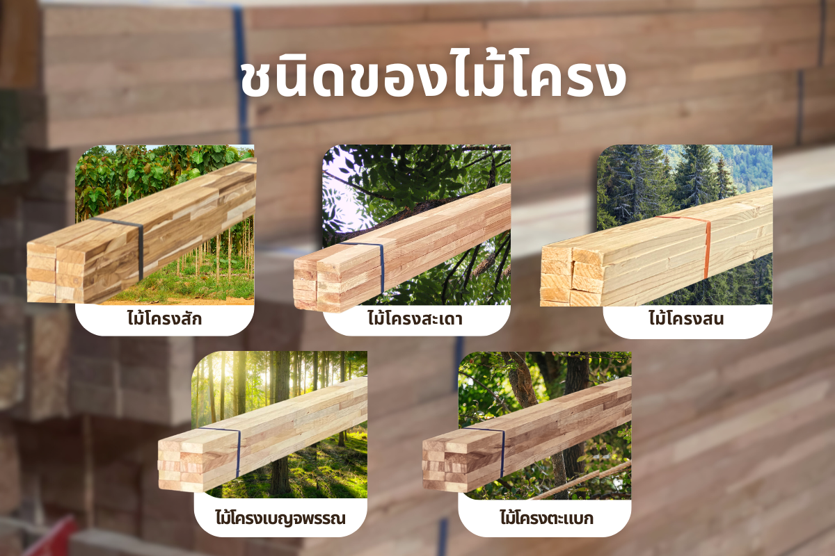 2. ไม้โครง และ ไม้จ๊อยมีกี่ชนิด ที่นิยมเอาไปทำงานบิ้วท์อิน