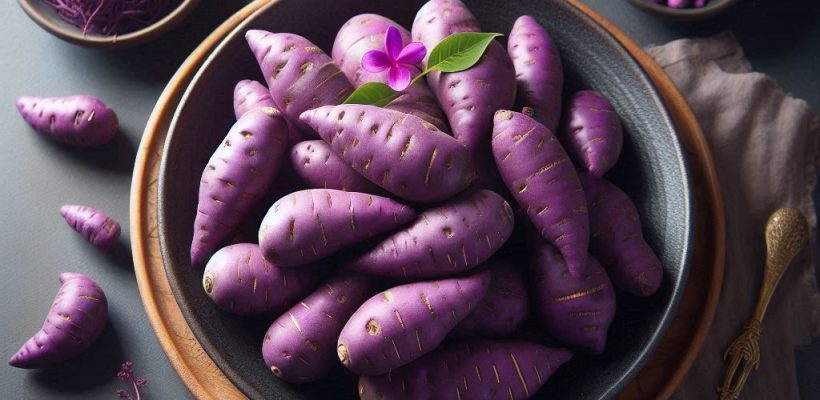 _e1e73372-0bbe-4192-8f37-7a13a3d8b051