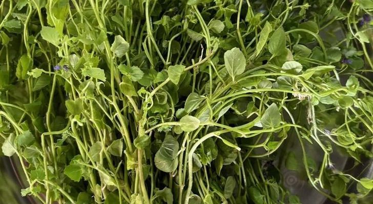 488879416_1082507523921081_55