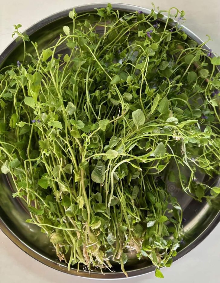 488879416_1082507523921081_55