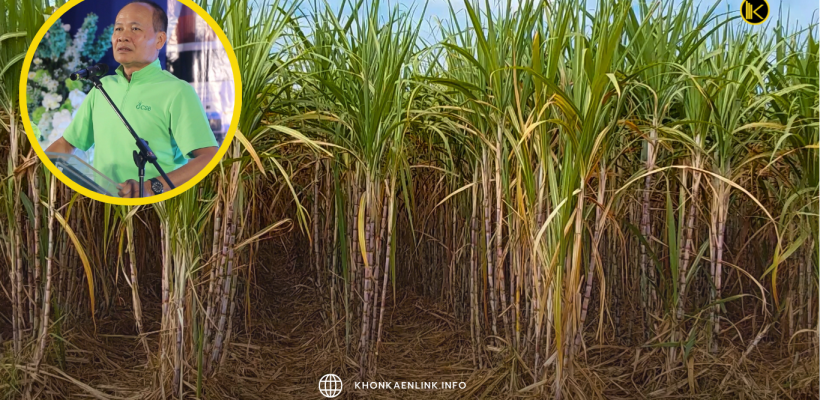 Cover Web KKL (เว็บไซต์)