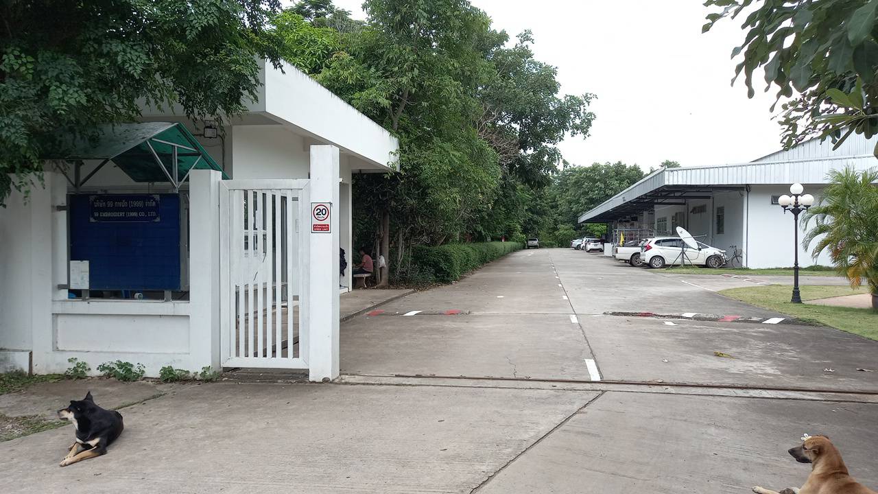 พันชิ้ง