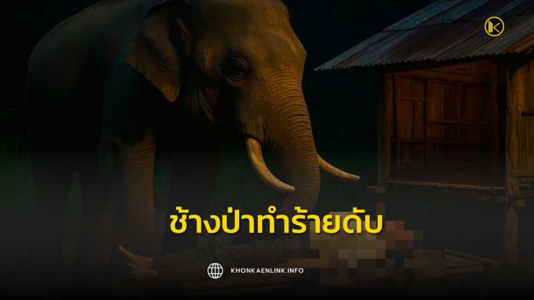 Cover Web KKL (เว็บไซต์)