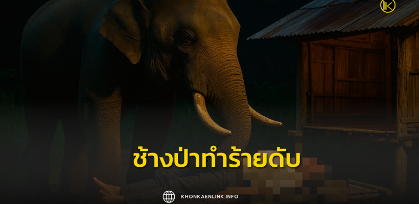 Cover Web KKL (เว็บไซต์)