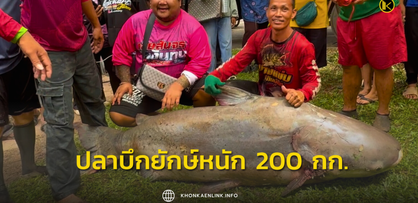 Cover Web KKL (เว็บไซต์)