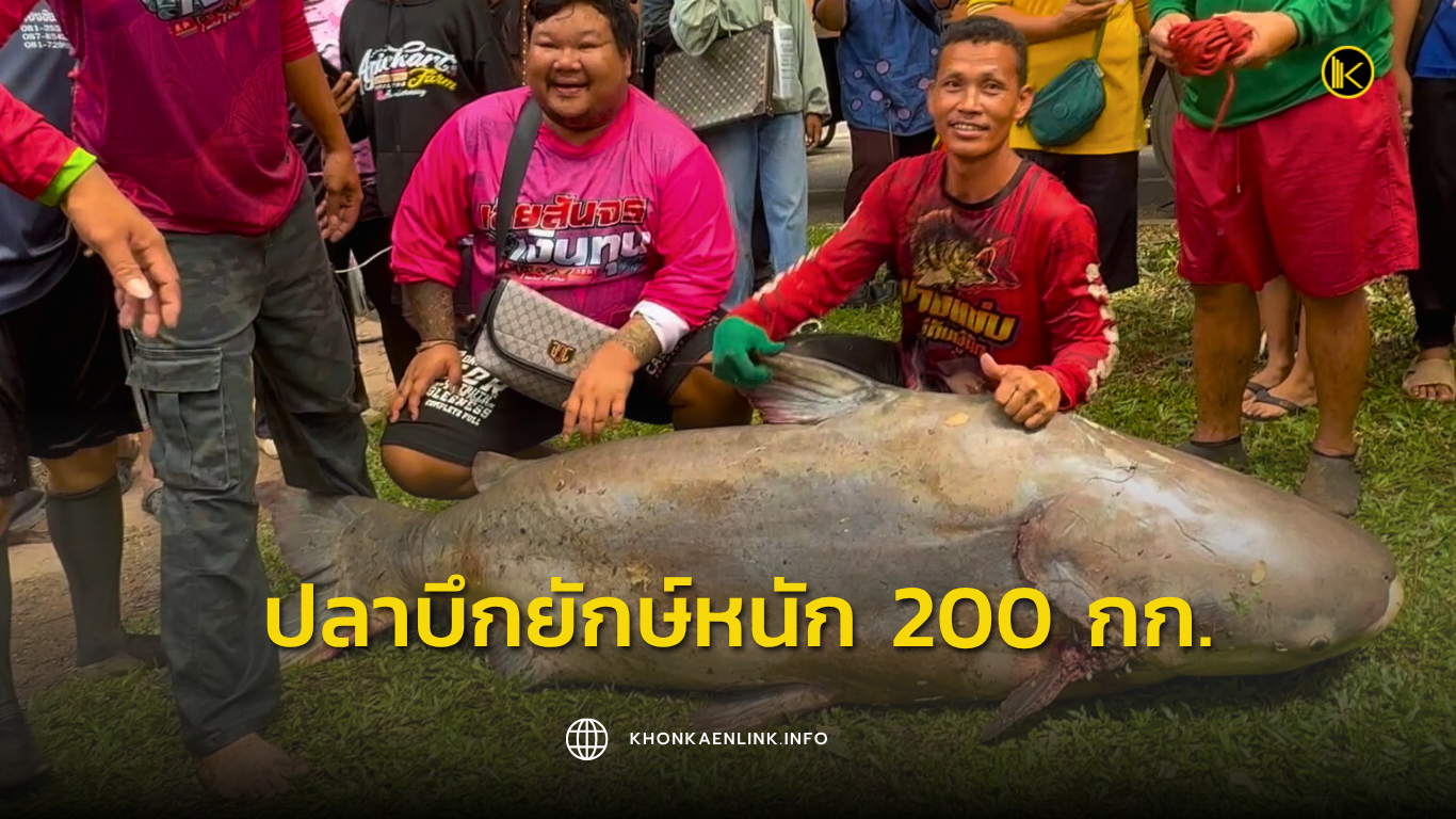 Cover Web KKL (เว็บไซต์)