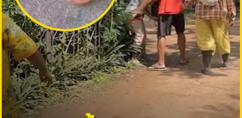 Poster ประกาศ