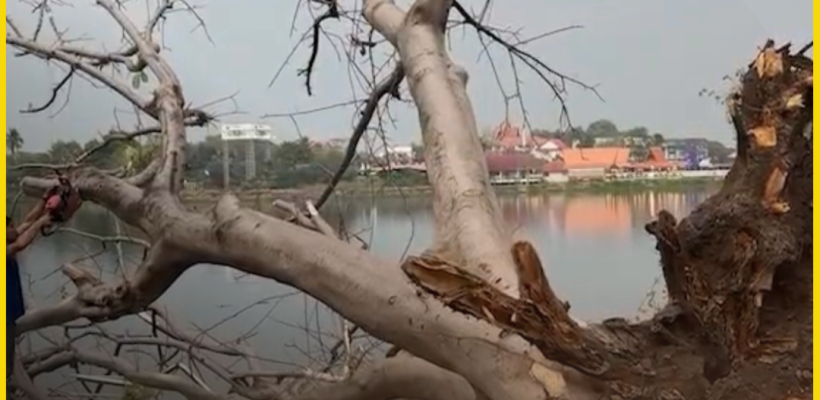 Poster ประกาศ