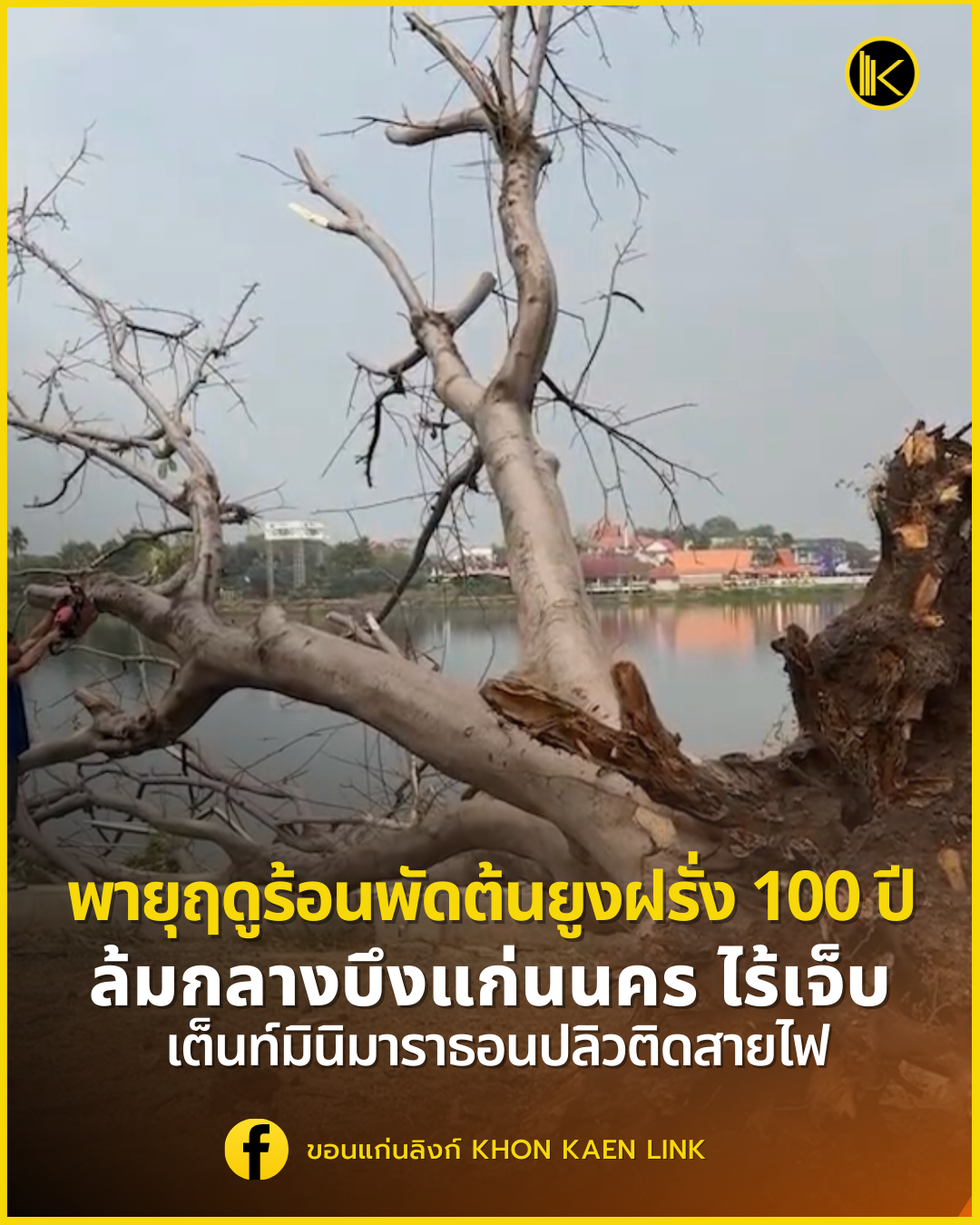 Poster ประกาศ
