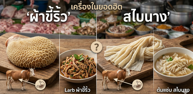 Gemini_Generated_Image_yrj5u2yrj5u2yrj5