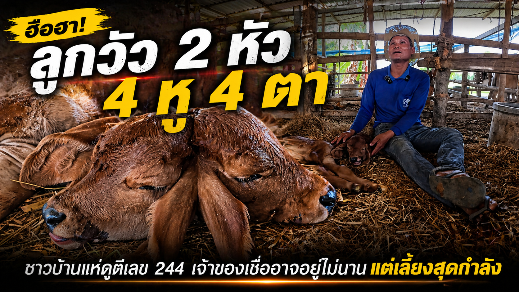 5173F957-C406-4D91-8932-AD69F08955D0