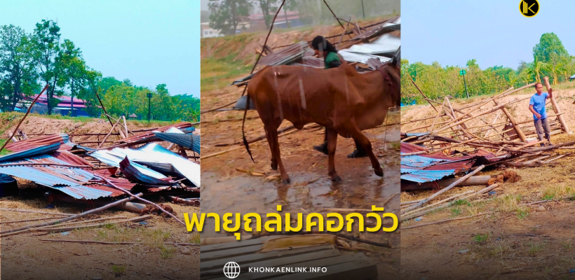 Cover Web KKL (เว็บไซต์)