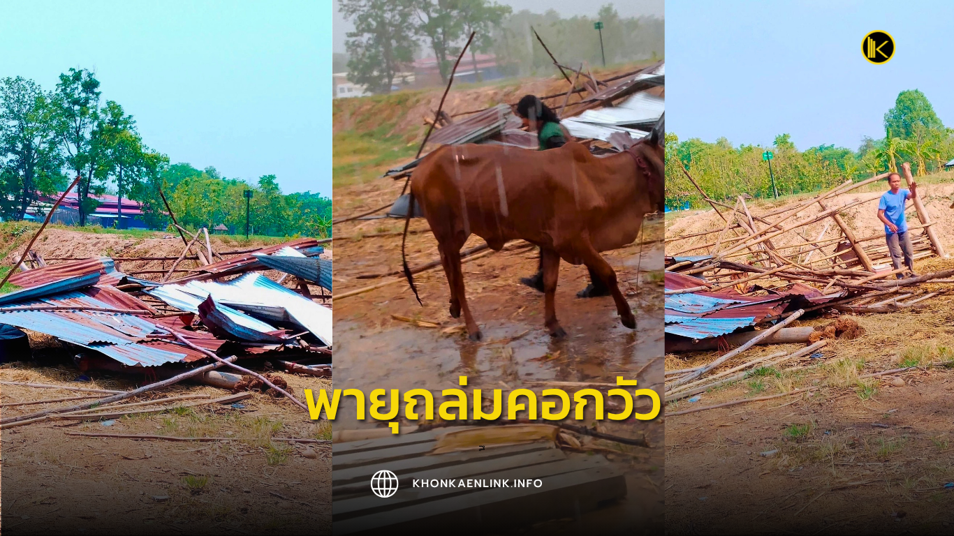 Cover Web KKL (เว็บไซต์)