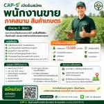 ห้างหุ้นส่วนจำกัด เปี่ยมสุข พาวเวอร์ (สำนักงานใหญ่) ขอนแก่น โดย CAP-S : แคป-เอส เราได้รับความไว้วางใจ ให้เป็นตัวแทนจำหน่าย ปุ๋ยคุณภาพสูง ครอบคลุมพื้นที่ภาคอีสาน มุ่งมั่น นำเสนอผลิตภัณฑ์ และนวัตกรรมเกษตรที่ล้ำสมัย เพื่อส่งเสริมและพัฒนาผลผลิต ของเกษตรกรทุกท่าน ให้เติบโตอย่างยั่งยืน