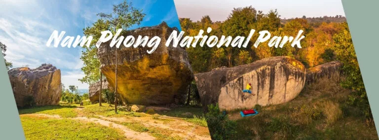 kkbf-2027-nam-phong